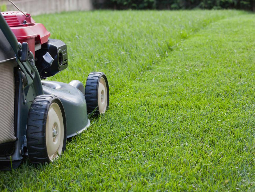Clean Cut lawns Lawn mower cutting through a lawn with ease leaving a nice clean looking lawn