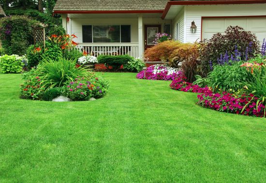 Beautiful green clean cut lawn