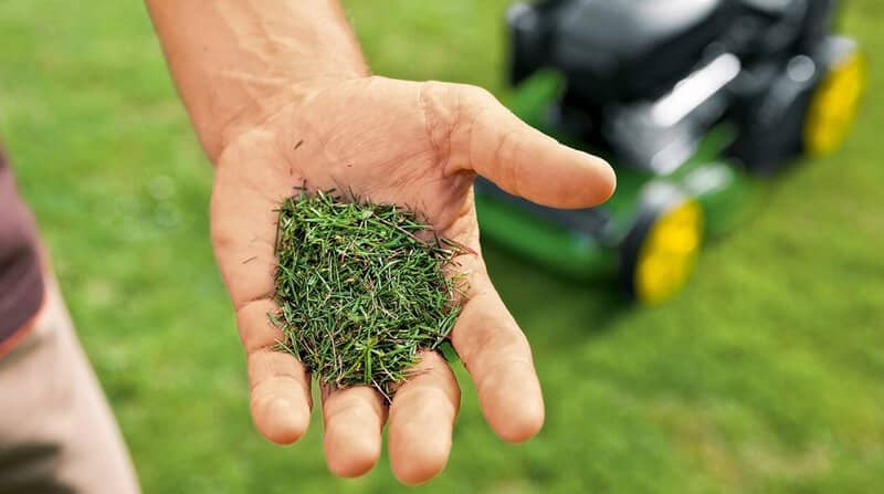 man holding mulched up clippings in his hand