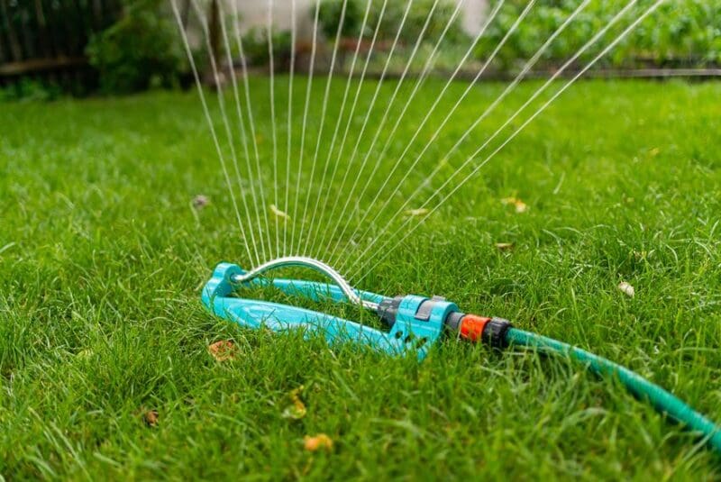 Sprinkler on lawn watering it.